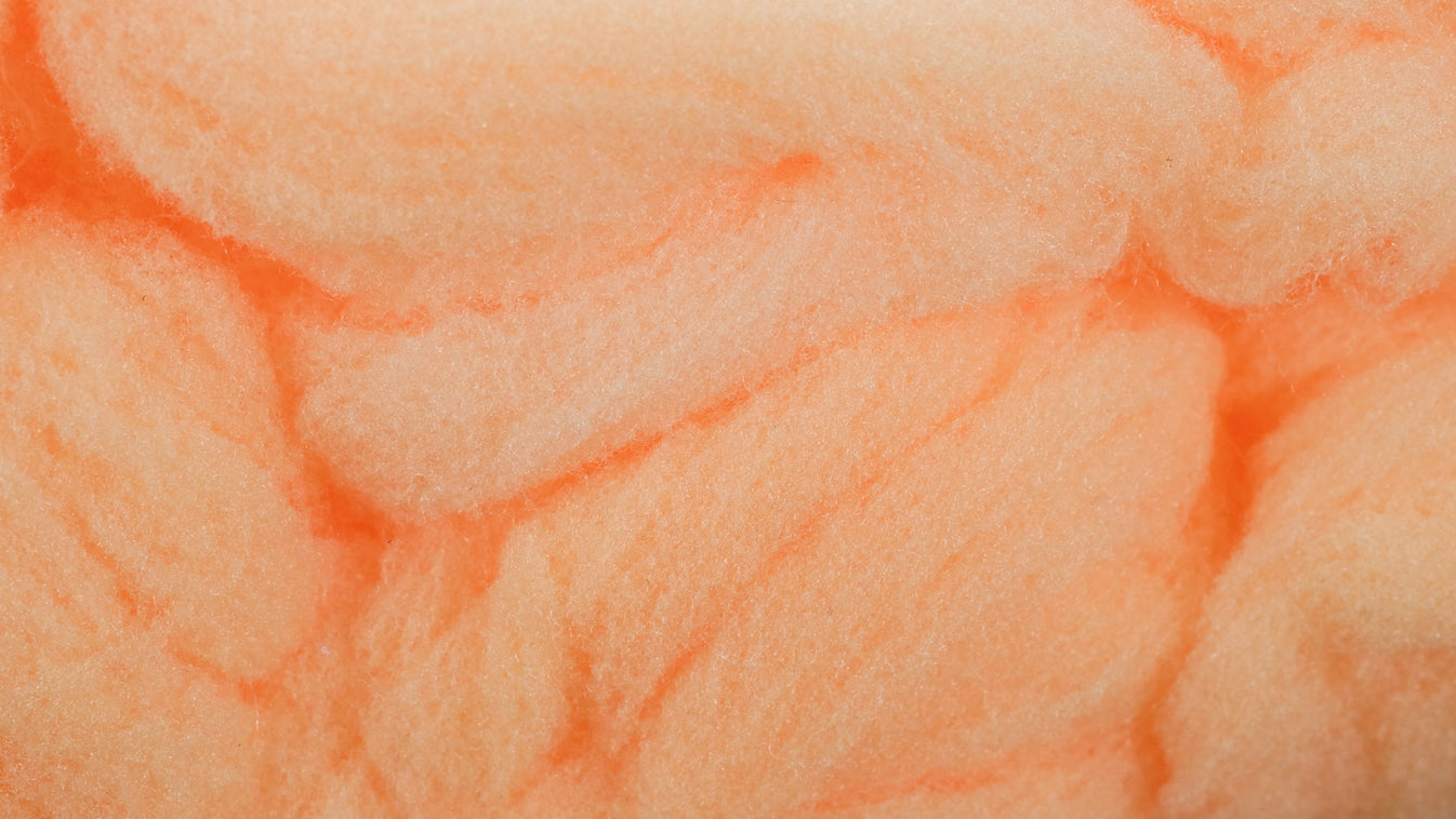 McFly Foam Egg Yarn Tactical Fly Fisher