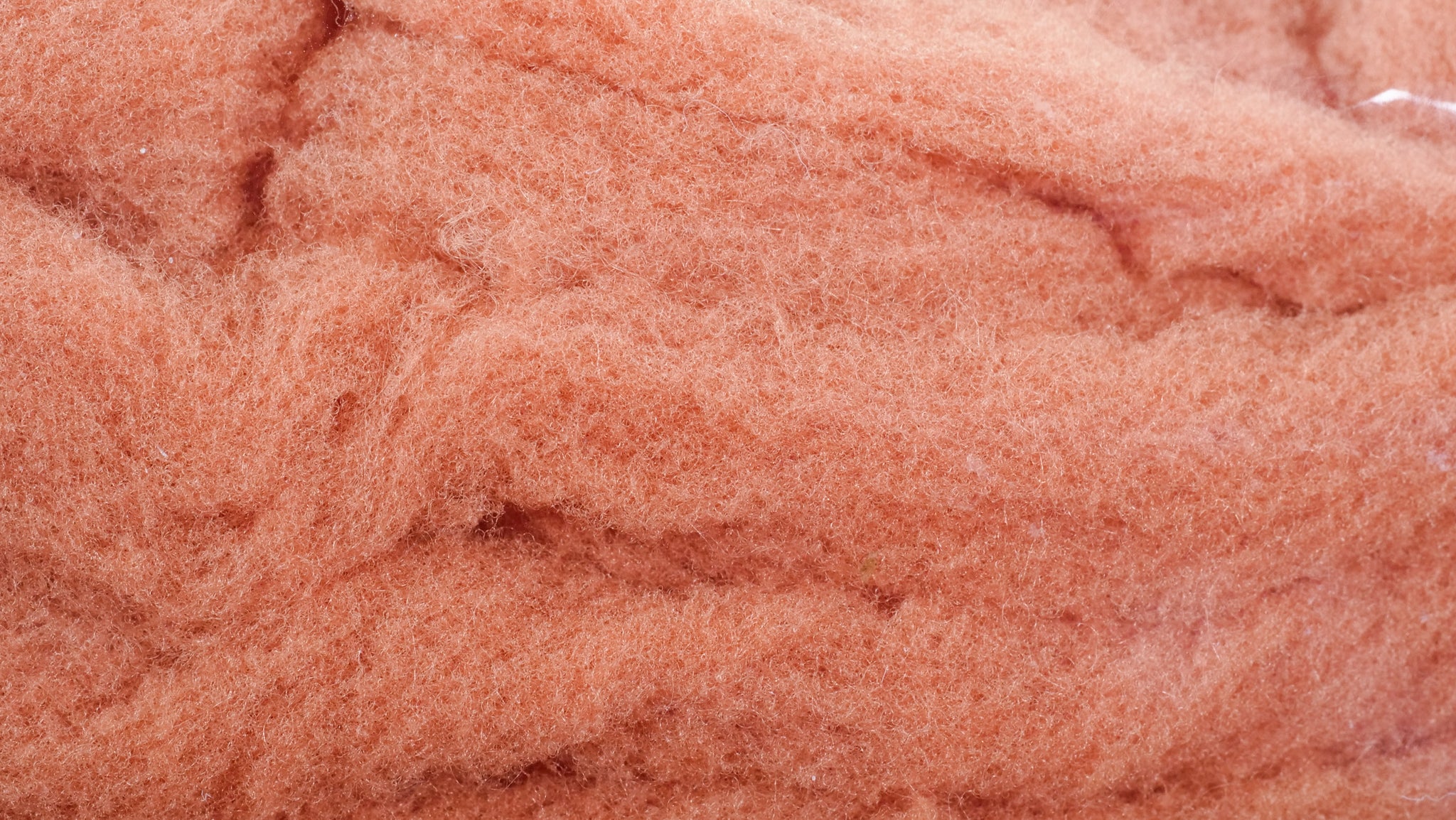 McFly Foam Egg Yarn Tactical Fly Fisher