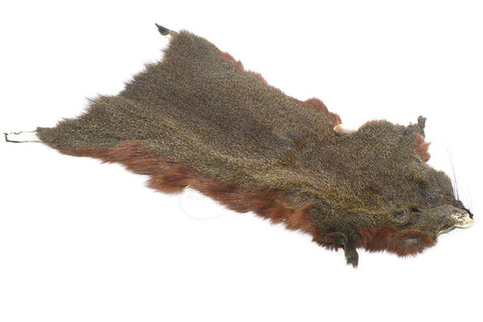 Troutline Tanned Pine Squirrel Skins