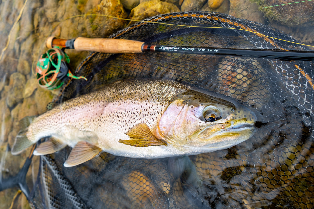 Diamondback Ideal Nymph Fly Rod