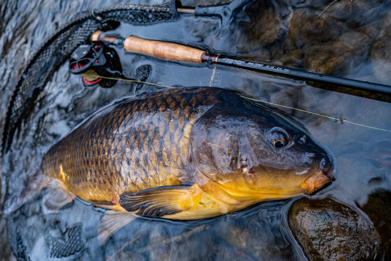 Diamondback Ideal Nymph Fly Rod