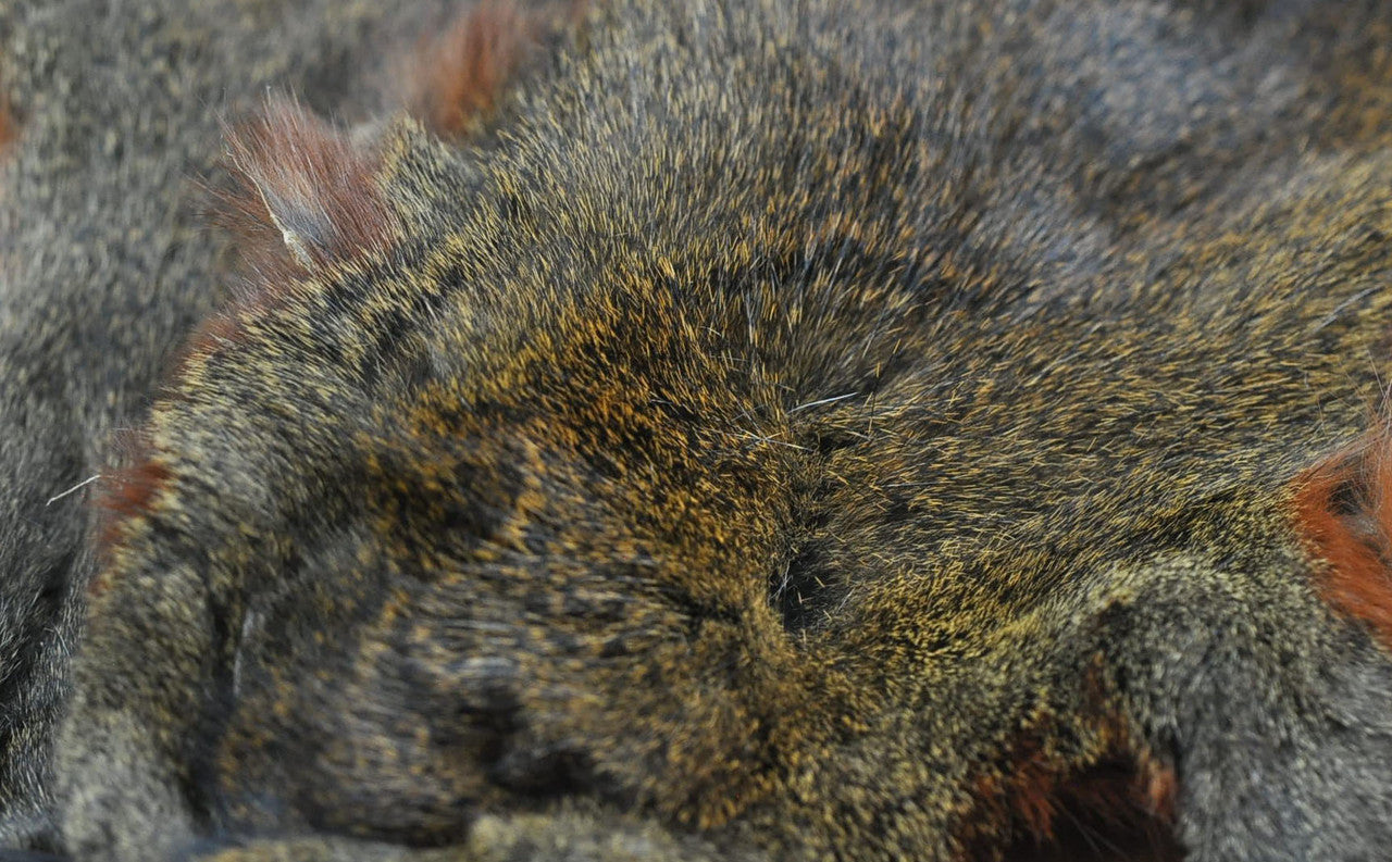 Troutline Tanned Squirrel Skins