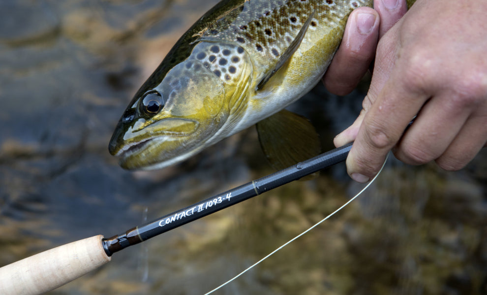 Thomas and Thomas Contact II Nymph Rods Tactical Fly Fisher