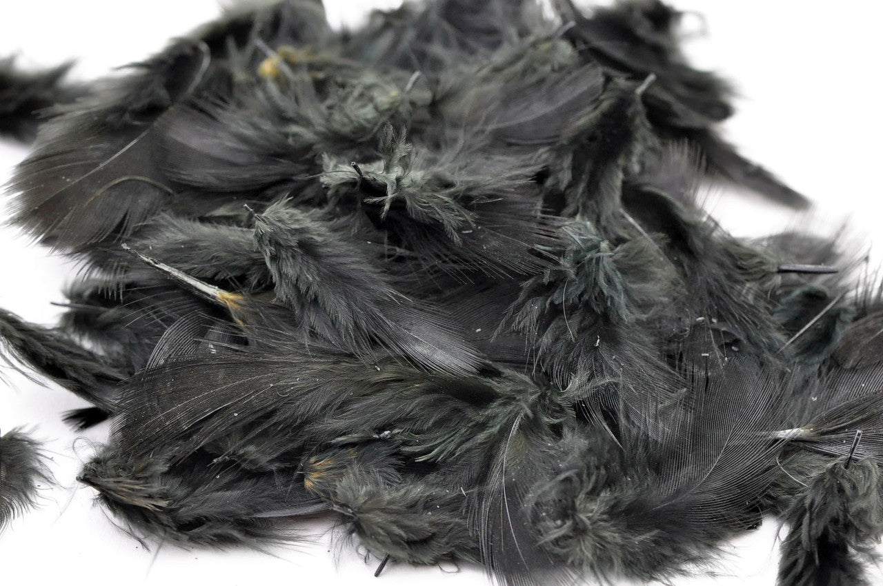 Hareline Premium Hungarian Partridge Feathers Black