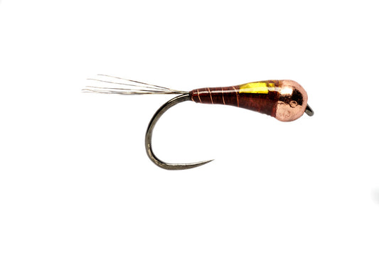 George Daniel's Sunburst Perdigon